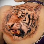Фото тату с тигром на лопатке 09.03.2020 №009 -tattoo on the shoulder- tattoo-photo.ru
