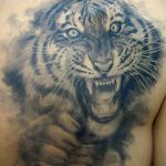 Фото тату с тигром на лопатке 09.03.2020 №015 -tattoo on the shoulder- tattoo-photo.ru