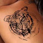 Фото тату с тигром на лопатке 09.03.2020 №019 -tattoo on the shoulder- tattoo-photo.ru