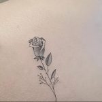 Фото тату на левой лопатке 09.03.2020 №037 -tattoo on the shoulder- tattoo-photo.ru