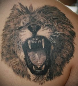 Фото тату на лопатке Лев 09.03.2020 №009 -tattoo on the shoulder- tattoo-photo.ru
