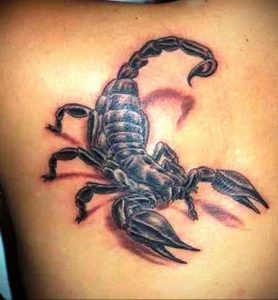 Фото тату на лопатке Скорпион 09.03.2020 №001 -tattoo on the shoulder- tattoo-photo.ru