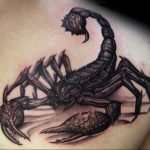 Фото тату на лопатке Скорпион 09.03.2020 №002 -tattoo on the shoulder- tattoo-photo.ru