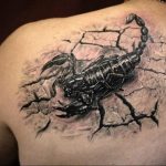 Фото тату на лопатке Скорпион 09.03.2020 №004 -tattoo on the shoulder- tattoo-photo.ru