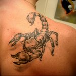 Фото тату на лопатке Скорпион 09.03.2020 №008 -tattoo on the shoulder- tattoo-photo.ru
