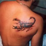 Фото тату на лопатке Скорпион 09.03.2020 №014 -tattoo on the shoulder- tattoo-photo.ru