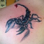 Фото тату на лопатке Скорпион 09.03.2020 №021 -tattoo on the shoulder- tattoo-photo.ru