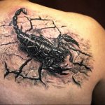 Фото тату на лопатке Скорпион 09.03.2020 №023 -tattoo on the shoulder- tattoo-photo.ru