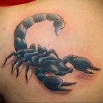 Фото тату на лопатке Скорпион 09.03.2020 №027 -tattoo on the shoulder- tattoo-photo.ru