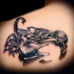 Фото тату на лопатке Скорпион 09.03.2020 №032 -tattoo on the shoulder- tattoo-photo.ru
