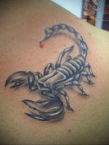 Фото тату на лопатке Скорпион 09.03.2020 №036 -tattoo on the shoulder- tattoo-photo.ru