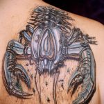 Фото тату на лопатке Скорпион 09.03.2020 №037 -tattoo on the shoulder- tattoo-photo.ru
