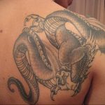Фото тату на лопатке дракон 09.03.2020 №032 -tattoo on the shoulder- tattoo-photo.ru