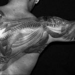 Фото тату на лопатке дракон 09.03.2020 №034 -tattoo on the shoulder- tattoo-photo.ru