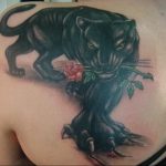 Фото тату с кошкой на лопатке 09.03.2020 №005 -tattoo on the shoulder- tattoo-photo.ru