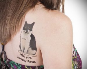 Фото тату с кошкой на лопатке 09.03.2020 №006 -tattoo on the shoulder- tattoo-photo.ru