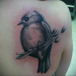 Фото тату с птицей на лопатке 09.03.2020 №002 -tattoo on the shoulder- tattoo-photo.ru