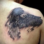 Фото тату с птицей на лопатке 09.03.2020 №007 -tattoo on the shoulder- tattoo-photo.ru