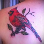 Фото тату с птицей на лопатке 09.03.2020 №030 -tattoo on the shoulder- tattoo-photo.ru