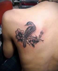 Фото тату с птицей на лопатке 09.03.2020 №047 -tattoo on the shoulder- tattoo-photo.ru