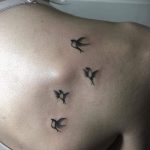 Фото тату с птицей на лопатке 09.03.2020 №048 -tattoo on the shoulder- tattoo-photo.ru