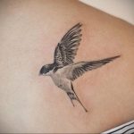 Фото тату с птицей на лопатке 09.03.2020 №053 -tattoo on the shoulder- tattoo-photo.ru