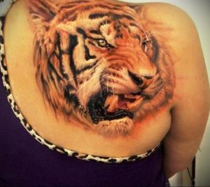 Фото тату с тигром на лопатке 09.03.2020 №008 -tattoo on the shoulder- tattoo-photo.ru