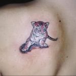 Фото тату с тигром на лопатке 09.03.2020 №014 -tattoo on the shoulder- tattoo-photo.ru