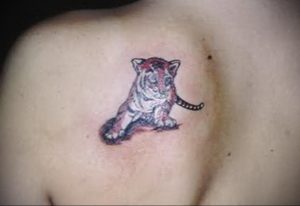 Фото тату с тигром на лопатке 09.03.2020 №014 -tattoo on the shoulder- tattoo-photo.ru