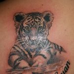 Фото тату с тигром на лопатке 09.03.2020 №021 -tattoo on the shoulder- tattoo-photo.ru