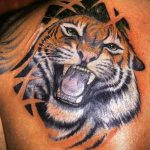 Фото тату с тигром на лопатке 09.03.2020 №023 -tattoo on the shoulder- tattoo-photo.ru