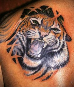 Фото тату с тигром на лопатке 09.03.2020 №023 -tattoo on the shoulder- tattoo-photo.ru