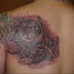 Фото тату с тигром на лопатке 09.03.2020 №025 -tattoo on the shoulder- tattoo-photo.ru