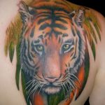 Фото тату с тигром на лопатке 09.03.2020 №026 -tattoo on the shoulder- tattoo-photo.ru