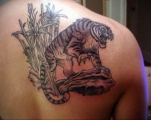 Фото тату с тигром на лопатке 09.03.2020 №028 -tattoo on the shoulder- tattoo-photo.ru