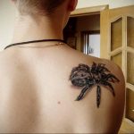 Фото татуировки на лопатке 09.03.2020 №050 -tattoo on the shoulder- tattoo-photo.ru