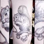 Фото пример рисунка тату белка 18,10,2021 - №0040 - squirrel tattoo - tattoo-photo.ru