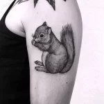 Фото пример рисунка тату белка 18,10,2021 - №0049 - squirrel tattoo - tattoo-photo.ru
