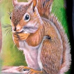 Фото пример рисунка тату белка 18,10,2021 - №0103 - squirrel tattoo - tattoo-photo.ru