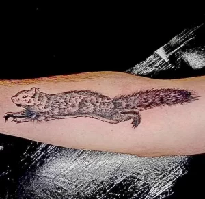 Фото пример рисунка тату белка 18,10,2021 - №0210 - squirrel tattoo - tattoo-photo.ru