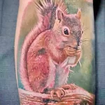 Фото пример рисунка тату белка 18,10,2021 - №0227 - squirrel tattoo - tattoo-photo.ru