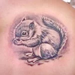 Фото пример рисунка тату белка 18,10,2021 - №0440 - squirrel tattoo - tattoo-photo.ru