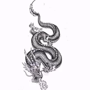 Эскизы тату дракон 28,10,2021 - №0008 - dragon tattoo sketch - tattoo-photo.ru