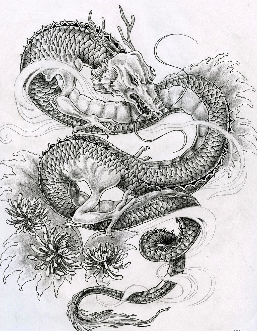 Эскизы тату дракон 28,10,2021 - № 0186 - dragon tattoo sketch - tattoo-phot...
