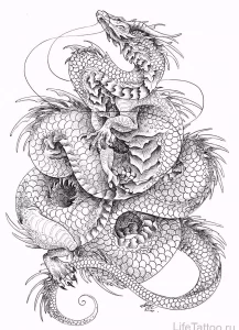 Эскизы тату дракон 28,10,2021 - №0220 - dragon tattoo sketch - tattoo-photo.ru