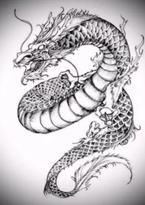 Эскизы тату дракон 28,10,2021 - №0565 - dragon tattoo sketch - tattoo-photo.ru