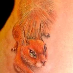 Фото пример рисунка тату белка 18,10,2021 - №0007 - squirrel tattoo - tattoo-photo.ru