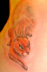 Фото пример рисунка тату белка 18,10,2021 - №0007 - squirrel tattoo - tattoo-photo.ru
