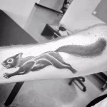 Фото пример рисунка тату белка 18,10,2021 - №0011 - squirrel tattoo - tattoo-photo.ru