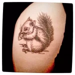 Фото пример рисунка тату белка 18,10,2021 - №0043 - squirrel tattoo - tattoo-photo.ru